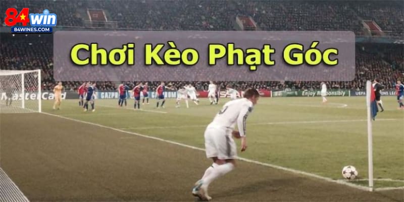 Những loại kèo cược mà bạn hay gặp
